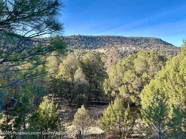 268 Santiago Cir, Alto, NM 88312