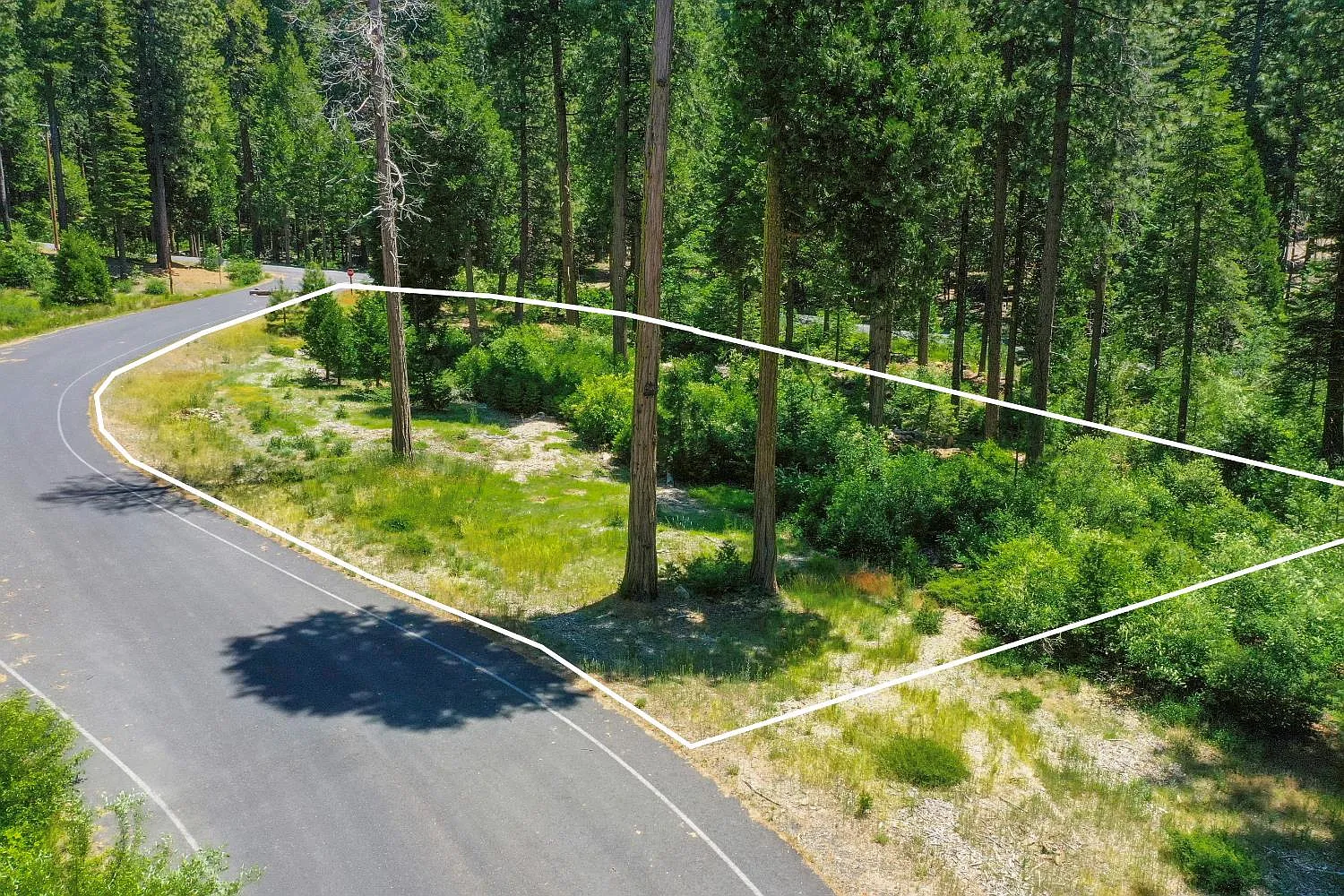 11 Timber Trail Ct photo 1