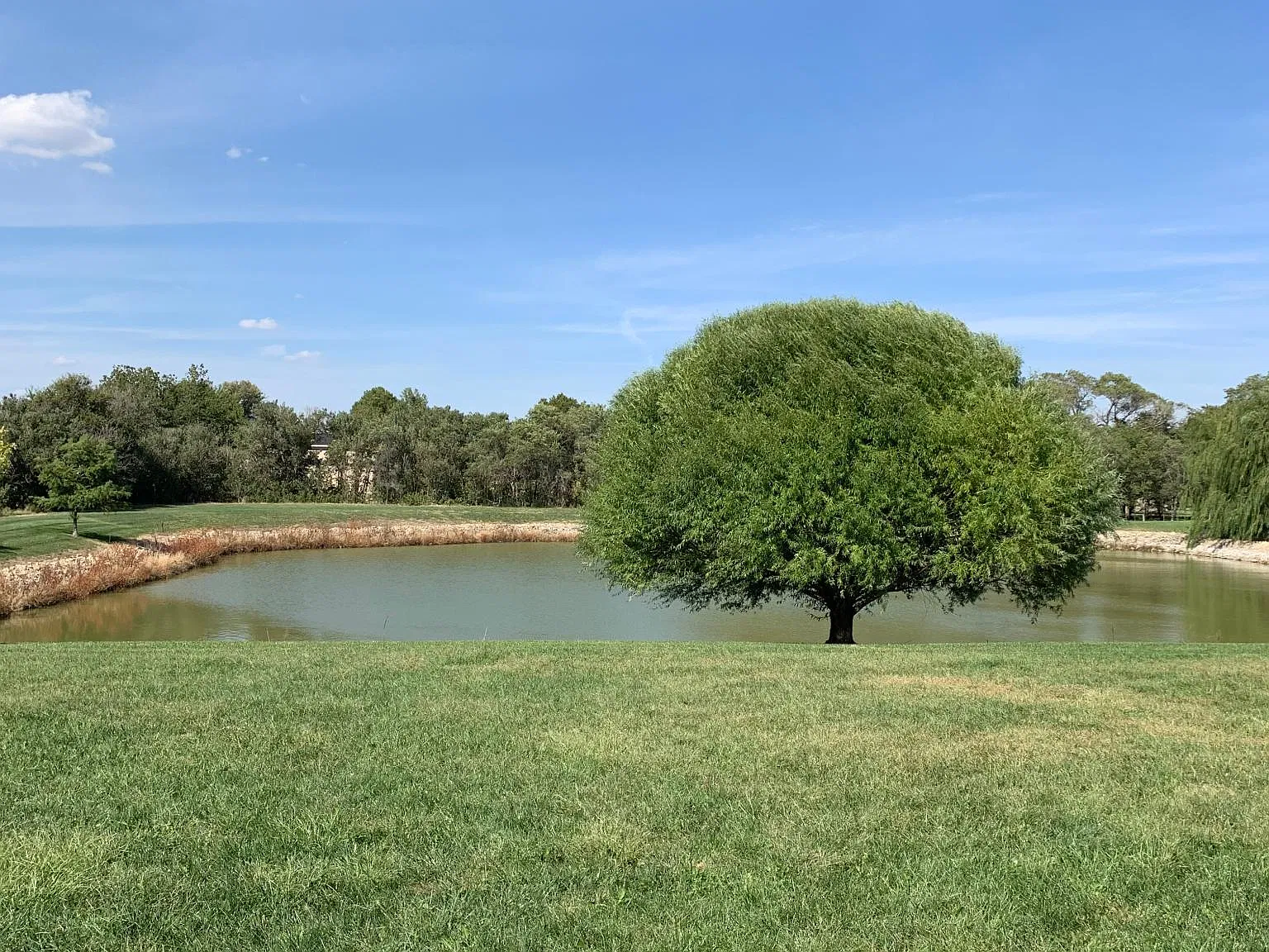 5 bed, 2200 sqft, $2,195 — Photo 3