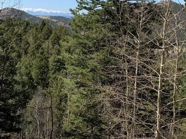 783 Bennett Dr, Cripple Creek, CO 80813