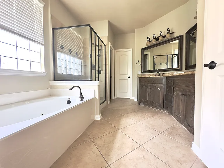 Downstairs master bathroom