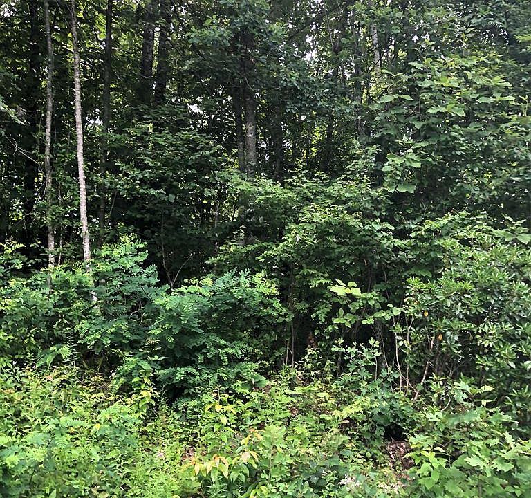 1st image of TBD Moorewood Circle