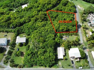 29D & 29DA Montpellier Byu, Christiansted, VI 00820