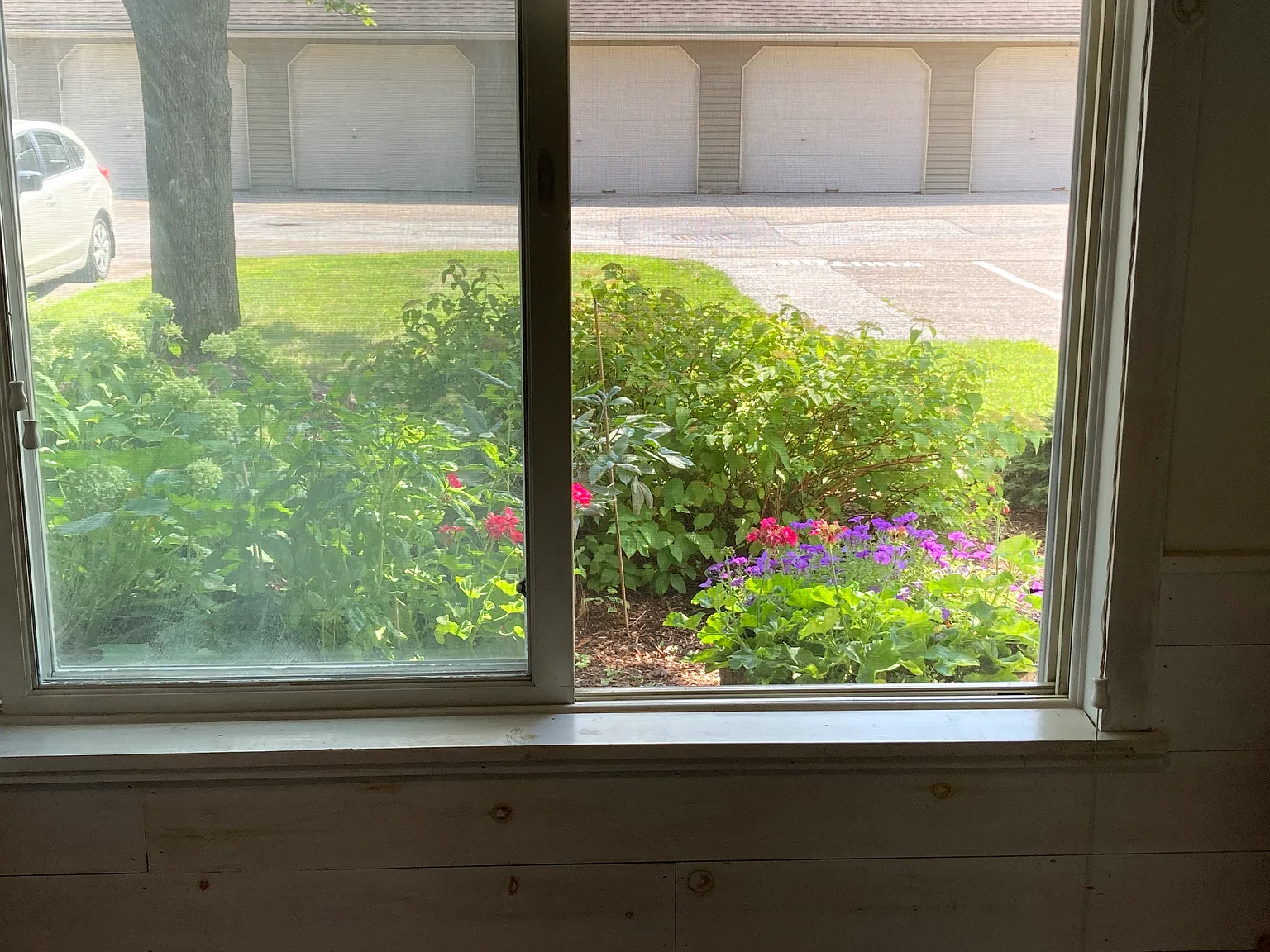 2 bed, 1.5 bath, 1234 sqft, $2,375 — Photo 4
