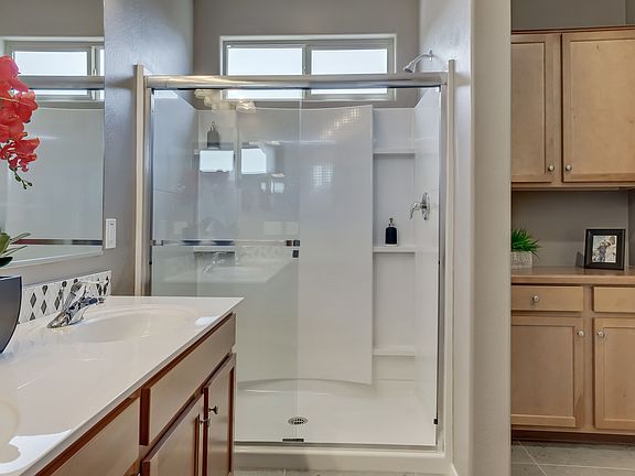 Elegant owner s bath