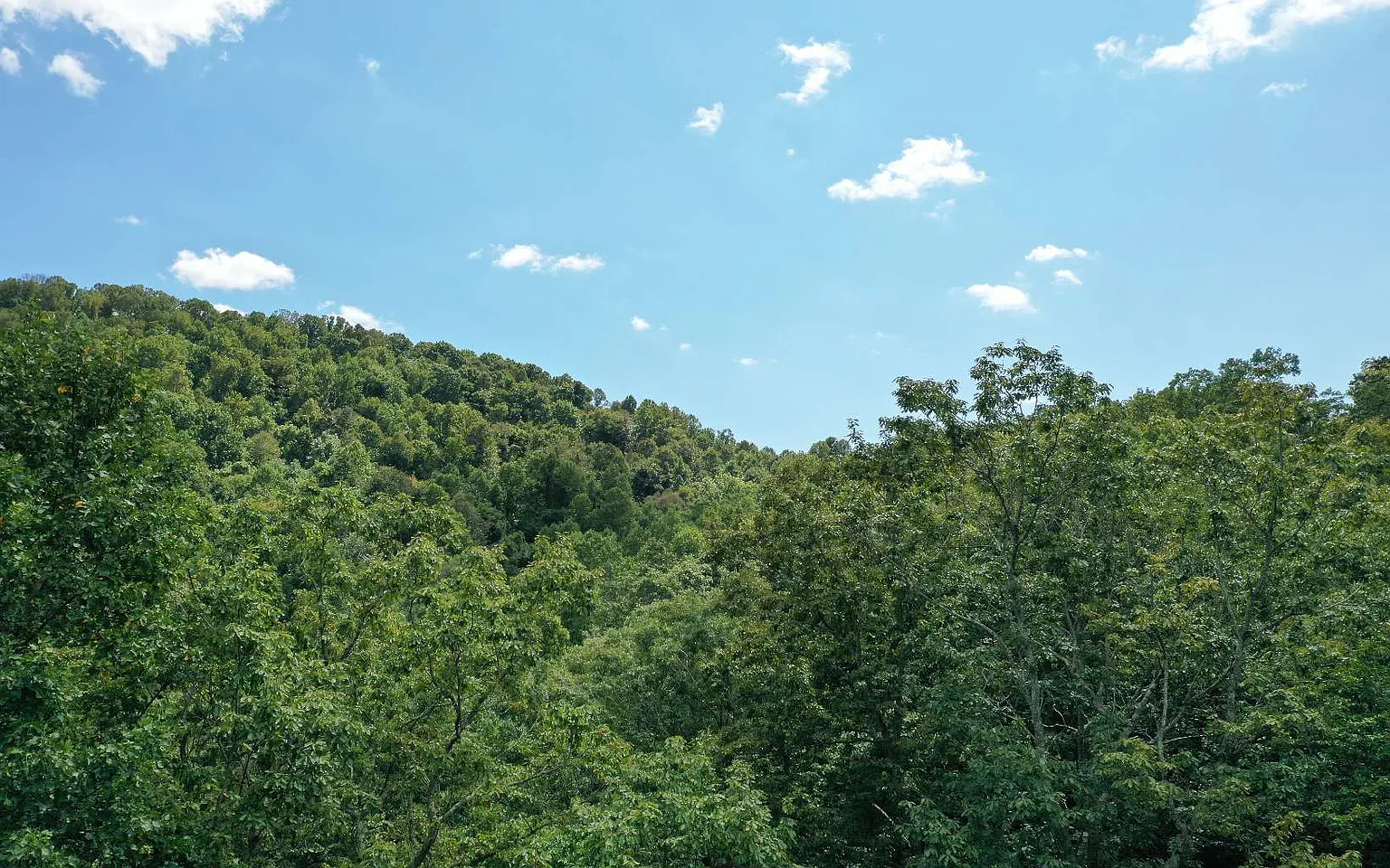 232 Stone Cliff Dr photo 1