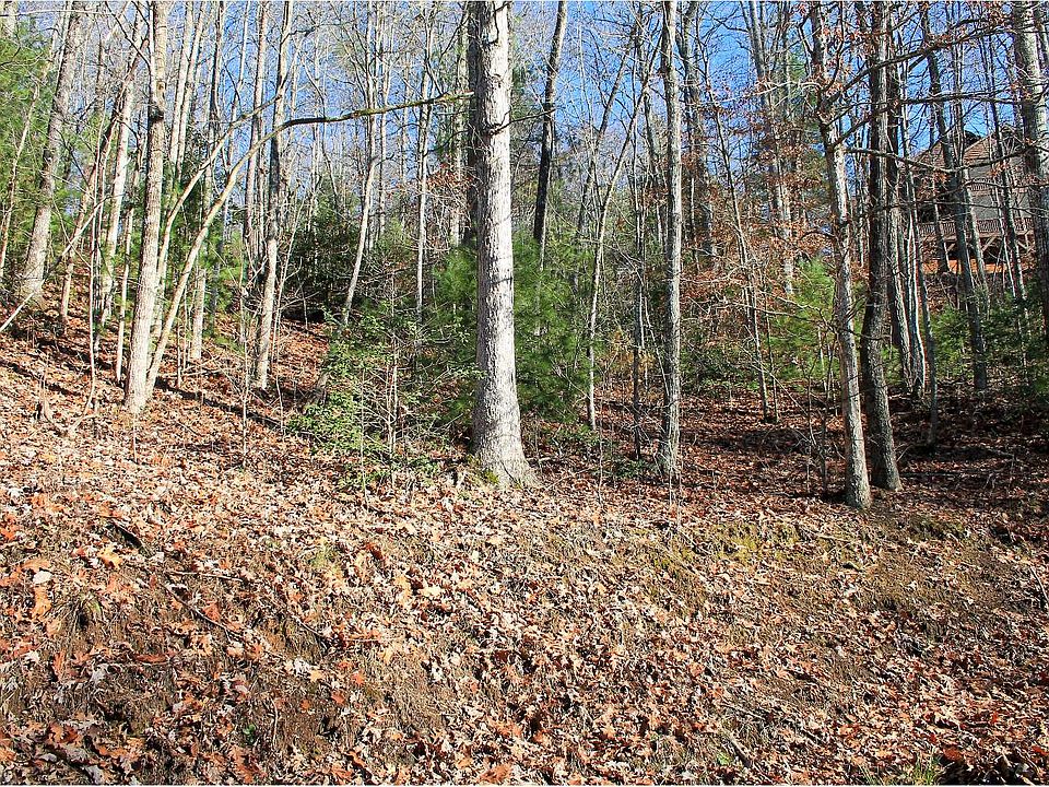 2nd image of LOT Holly Berry Dr