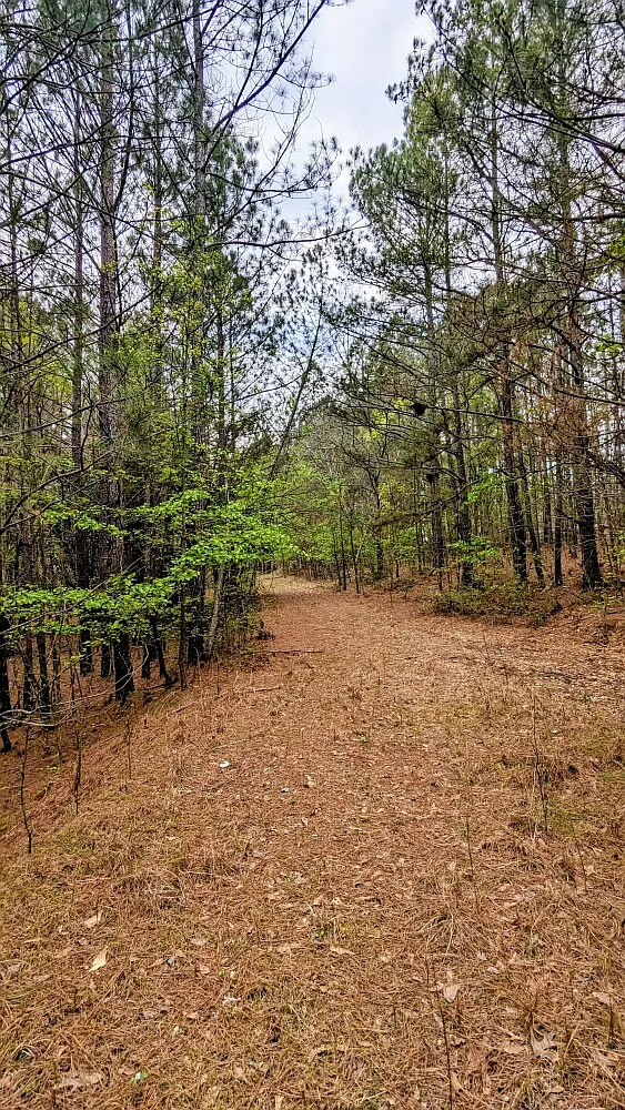 7490 Butner Rd photo 1