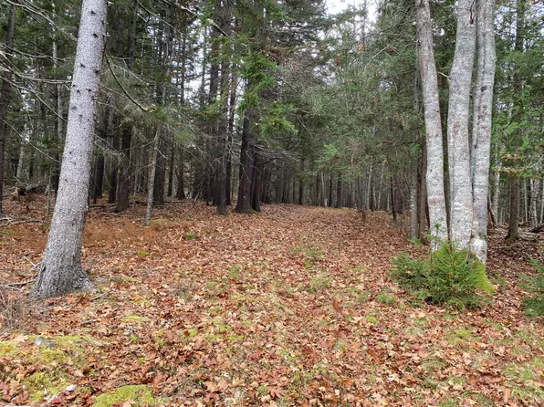18/19H West Bay Road, Islesboro, ME 04848