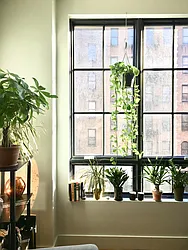 Rented by Manhattan Management LLC