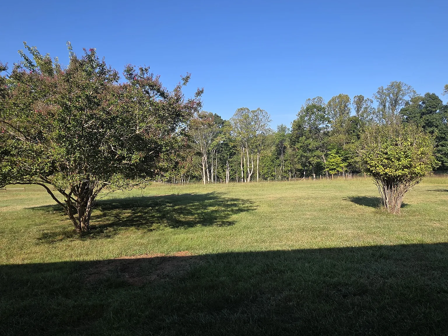 2 bed, 2200 sqft, $1,500 — Photo 2