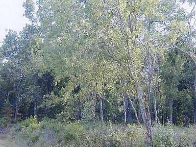 1st image of Oak Hill Dr Lot 8-9