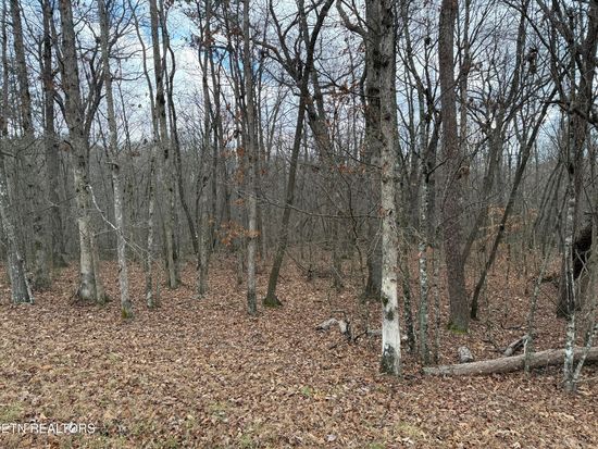 Cumberland Lakes Dr, Monterey, TN 38574