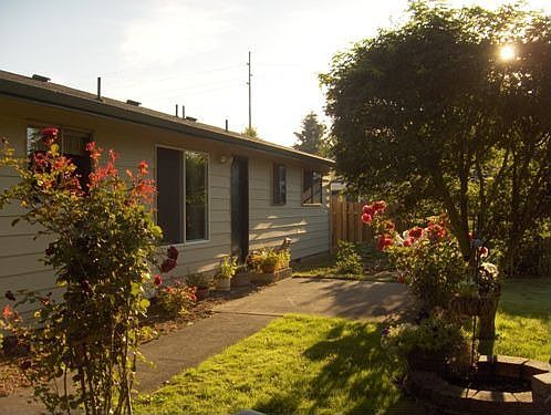 Backyard2