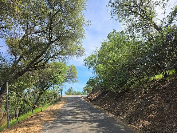 4th image of 1244 Tree Top Rd