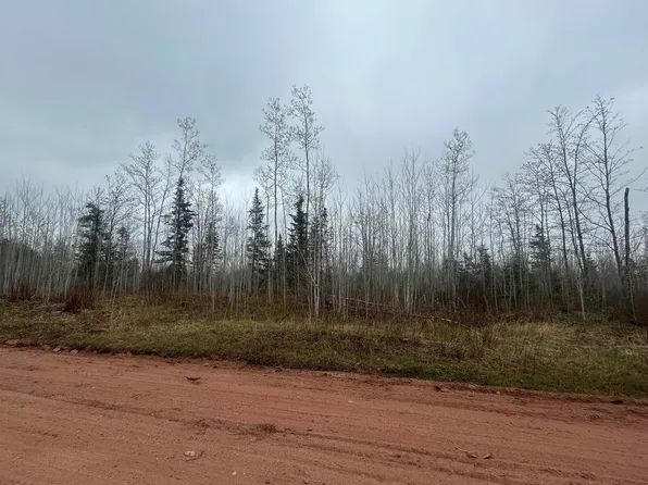 1 S Iron Pin Trl, Gwinn, MI 49841