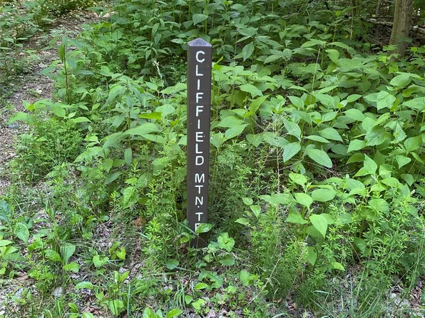 0 Cherry Hl #202, Mill Spring, NC 28756