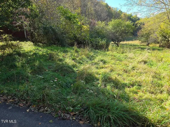 Miller Rd, Trade, TN 37691