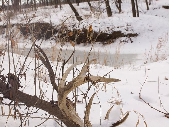 3rd image of 1191 SW 80th Road