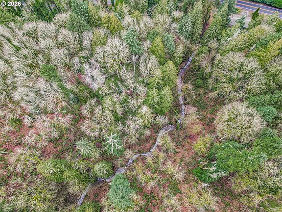 4th image of Clackamas River Dr