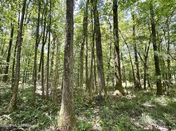 1 County Road 24, Enterprise, MS 39330
