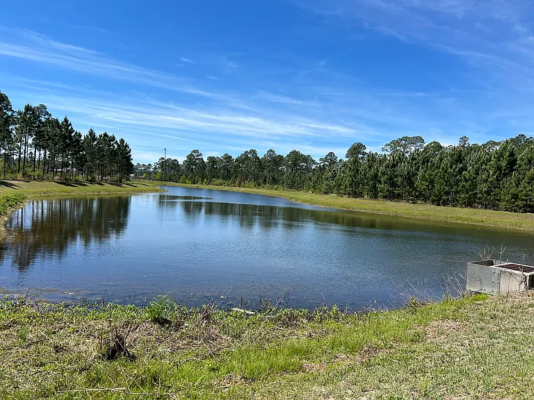 One of the 2 Ponds behind the forest at Manchester subdivision
