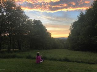 37 Leonard Rd, Pleasant Mount, PA 18453