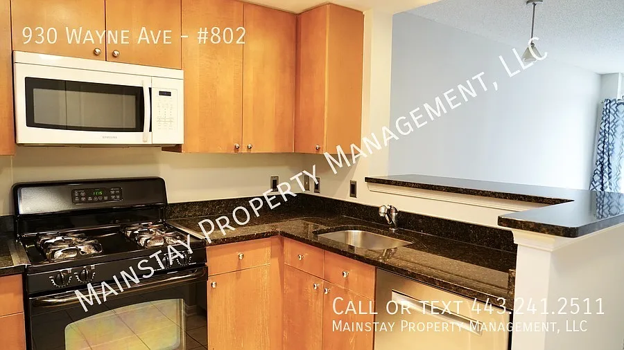 1 Bedroom Condo in Downtown Silver Spring! — Photo 4