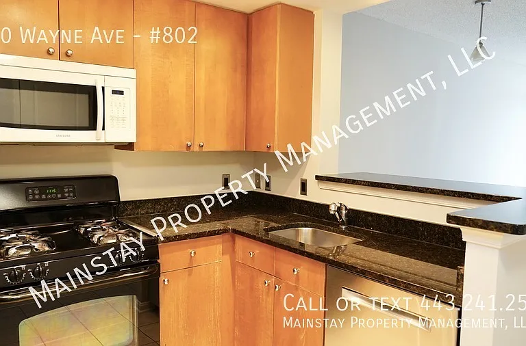 930 Wayne Ave #802 — Photo 4