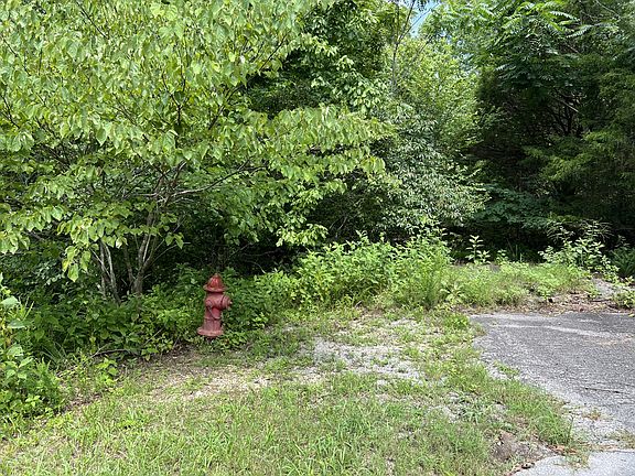 4th image of 731 Old Highway 53 S Lot 1-3