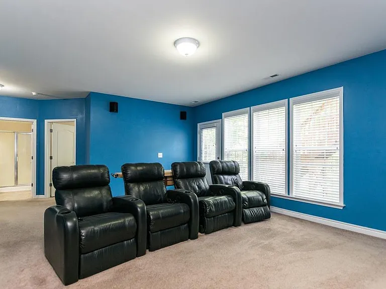 Basement Media Room