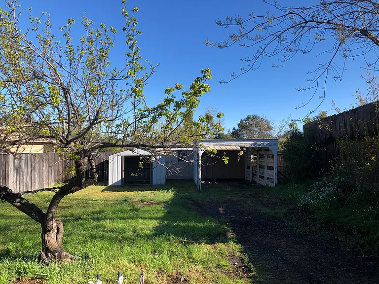 12115 Dry Creek Rd — Photo 11