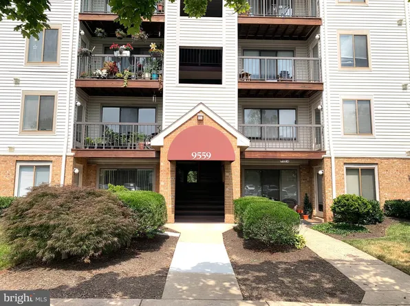 9559 Coggs Bill Dr APT 202, Manassas, VA 20110