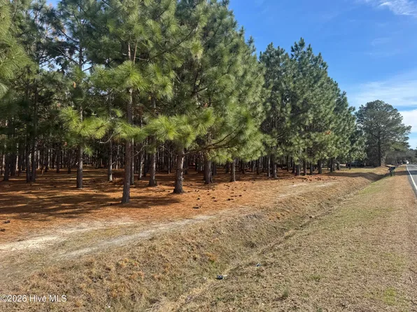 0 Butler Mill Rd Tract 1, Bladenboro, NC 28320