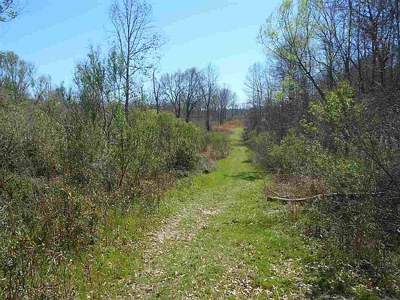 3rd image of Myrleville Rd