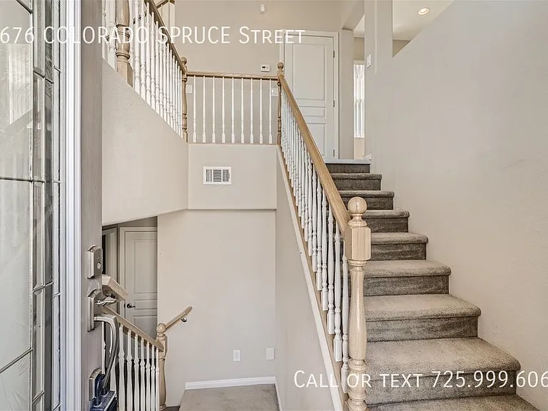6676 Colorado Spruce St — Photo 3