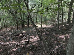 LOT 25 The Lndg, Blairsville, GA 30512
