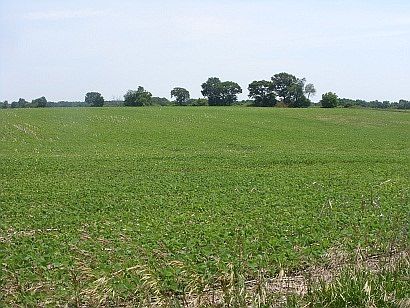 2nd image of N8786 Sterman Rd