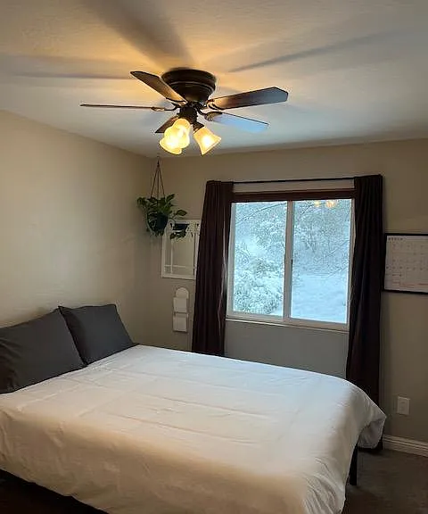 Bedroom with ceiling fan and extra-large mirrored wardrobe closet.