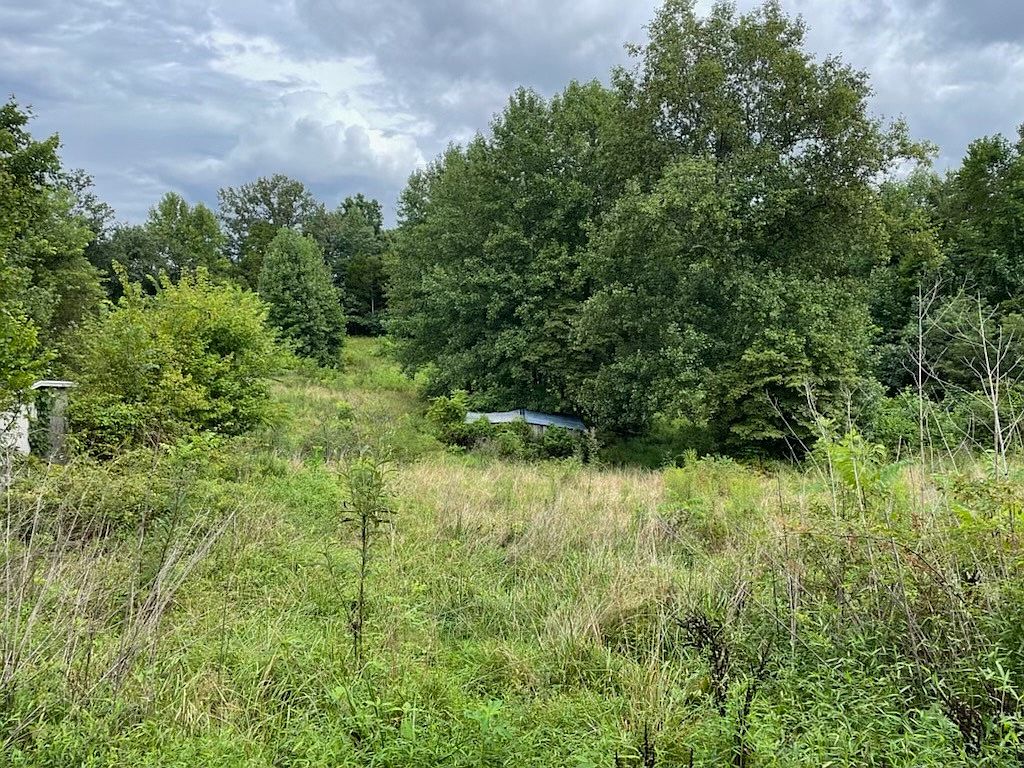 0 D Penick Rd, Summersville, KY 42782 Zillow