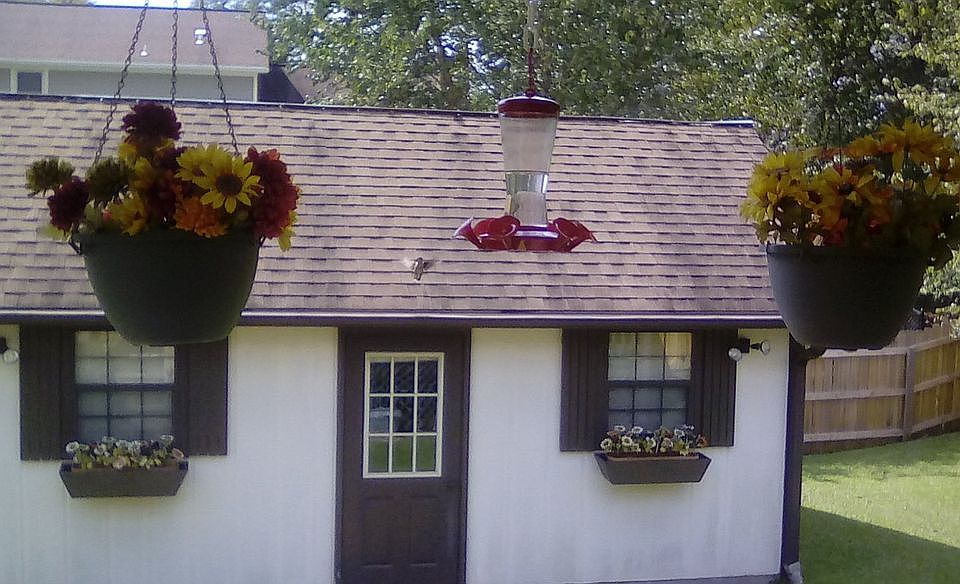 2nd image of 4115 50th St