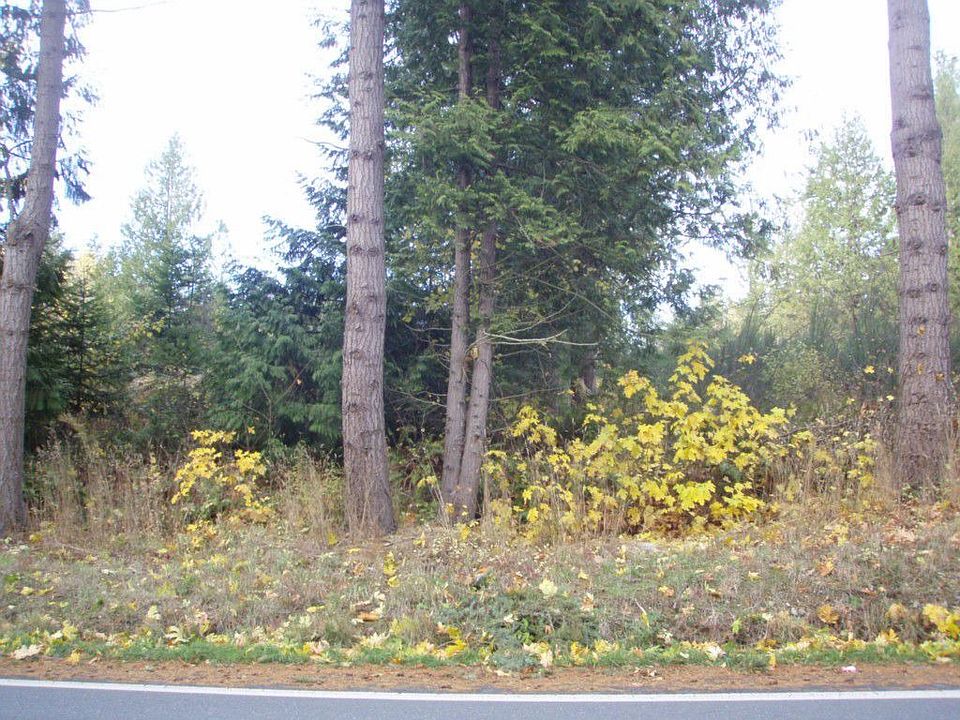 2nd image of 4321 Marine Dr