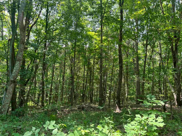 0 Beauty Ridge Rd, South Shore, KY 41175