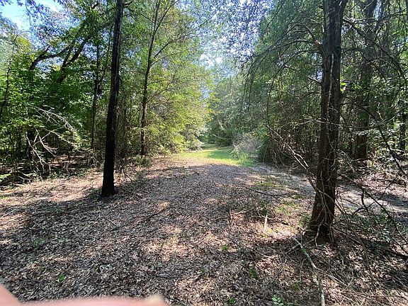 5th image of 7460 County Road 3914
