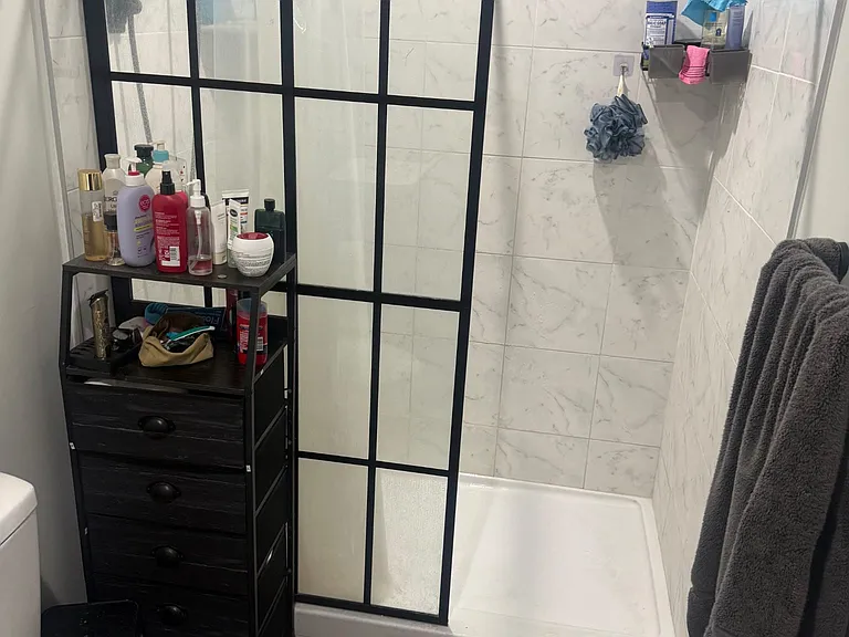 Bathroom/ Shower