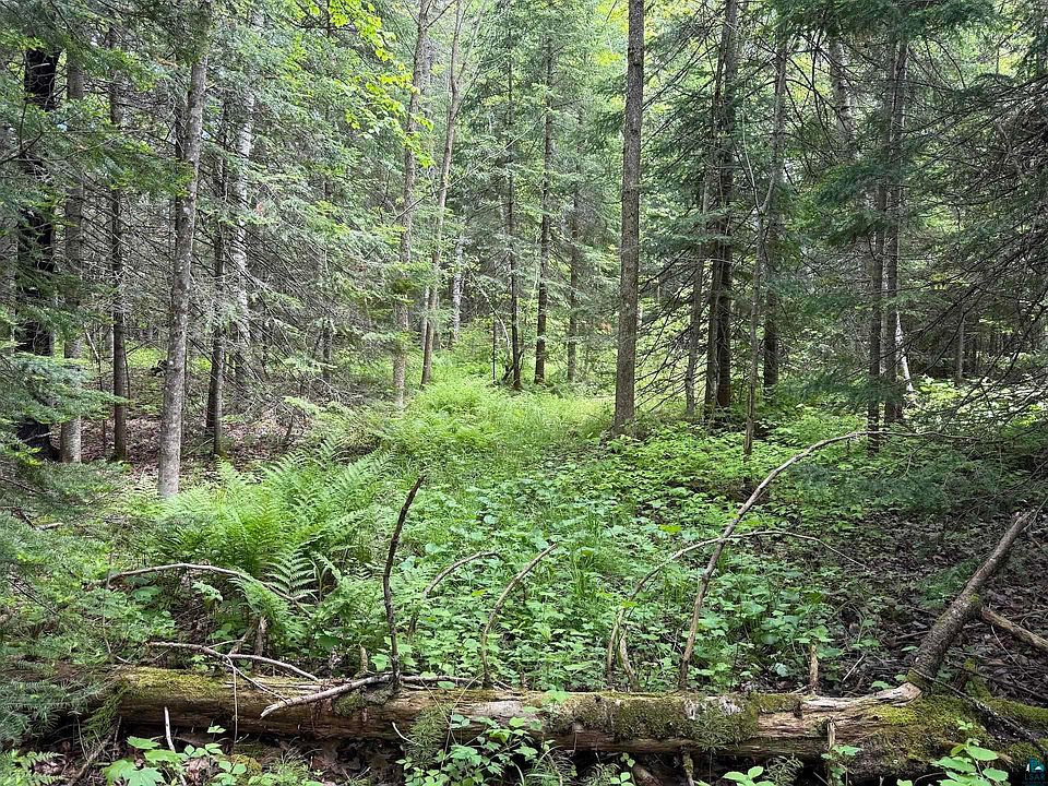 1st image of 0 Jack Pine Rd