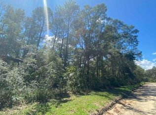 0 NE Blue Springs Church Rd, Lee, FL 32059