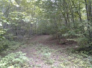 8888 Old Lane Rd, Newberry, MI 49868