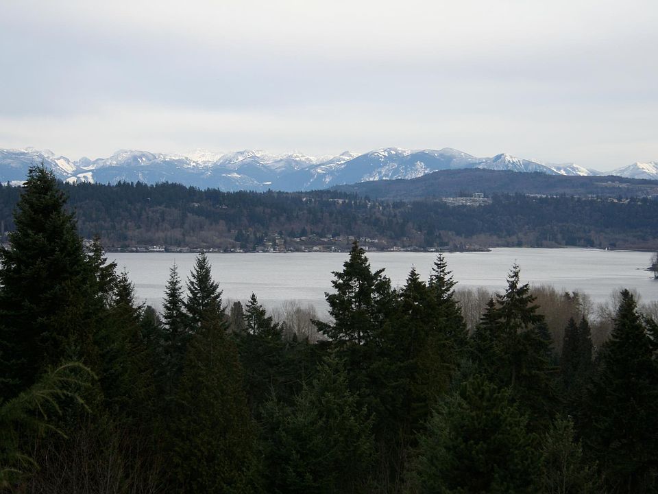 View from the deck