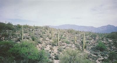 1st image of 0 N Gecko Canyon Trl
